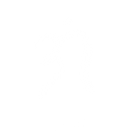 Lettering Line Sticker
