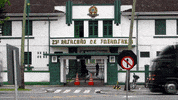 GrupoVigifort ivan general garcia blumenau GIF