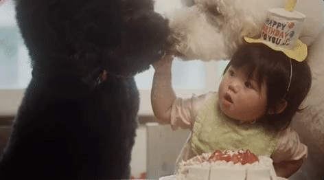 fix me GIF by Beck