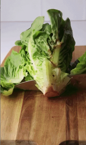 wonkybox giphygifgrabber GIF