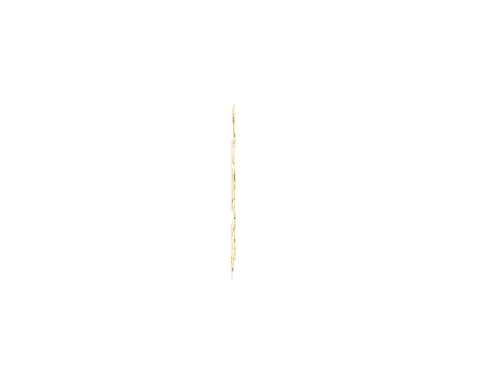 Gold Luxury Sticker by Federico Fashion Style