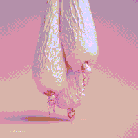 born GIF