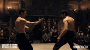 Martial Arts Fight GIF by HBO Max