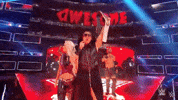 wwe sports wwe wrestling champion GIF