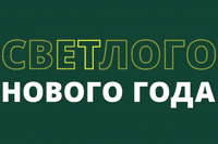 New Year Новый Год GIF by fondsvet