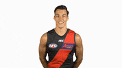 essendonfc dons bombers essendon essendon fc GIF