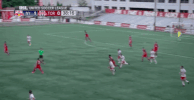 new york red bulls scarlett GIF by NYRB II