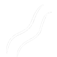 Waves Branco Sticker