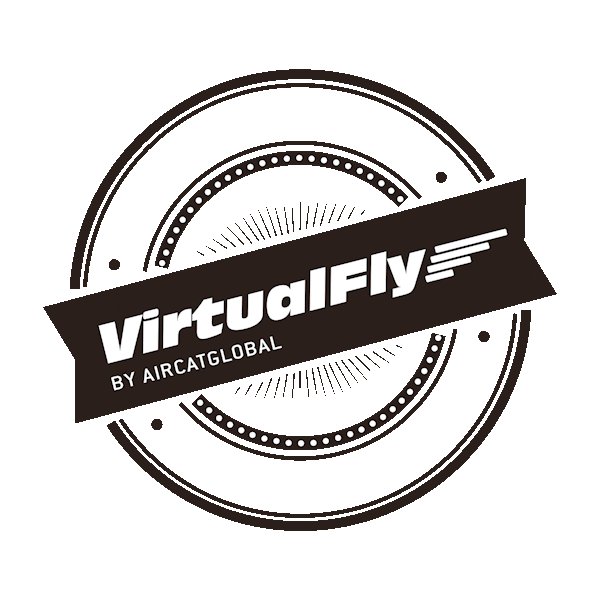 VirtualFly giphyupload fly simulator dealer Sticker