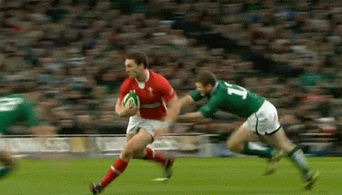 rugby dont GIF