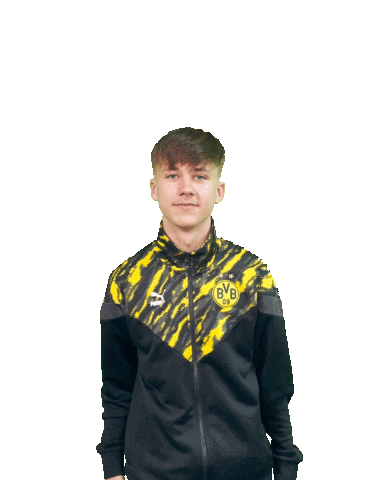 Bvb Sticker by Borussia Dortmund