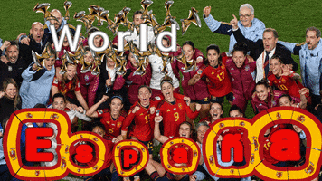 World Cup Football GIF