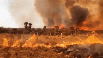 Wildfires Rage in Argentina's Drought-Hit Cordoba Province