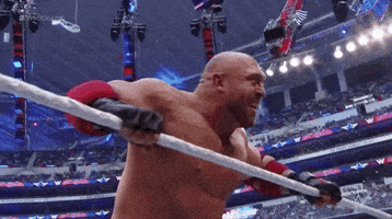 wrestlemania 32 wrestling GIF by WWE