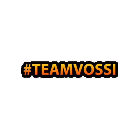 HaustechnikVosswinkel giphygifmaker htv haustechnikvosswinkel teamvossi Sticker