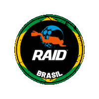 Raid Sticker by DiveRAID