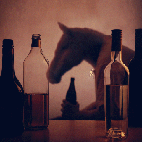 parmegia giphyupload drinking alcoholic novembroazul GIF