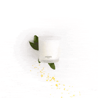 Apotheke-Co  GIF