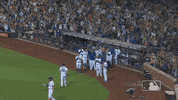 Celebrate Ny Mets GIF by New York Mets