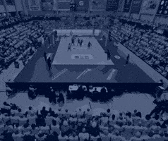 Volleyball Lindsey Ruddins GIF by SSCPalmbergSchwerin