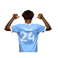 New York City Fc Reaction Sticker by NYCFC