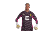 Football Sport Sticker by Borussia Dortmund