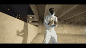 Panda GIF by Protect