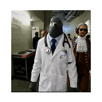 Bird Doctor Sticker