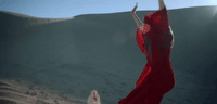 fallingwater GIF by Maggie Rogers