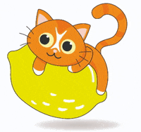 publilemon cat cats marketing lemon GIF
