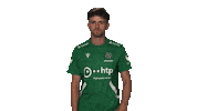 Hannover 96 Vbl Sticker by Bundesliga