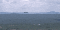 New Hampshire Harvick GIF by NASCAR