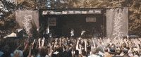 rock and roll show GIF by State Champs