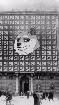 Always Watching Black And White GIF by Doge Pound