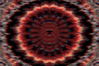 GIF by Leo Pyrata