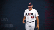 Pro GIF by USA Baseball