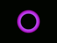 art yolo GIF by Bryan Unger