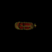 Martoon GIF