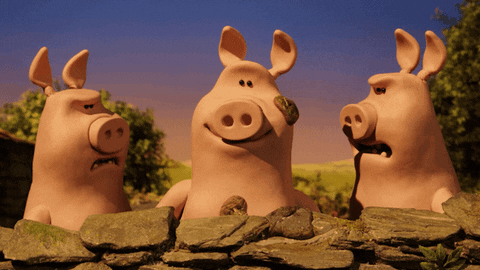 Confused Shaun The Sheep GIF by Aardman Animations