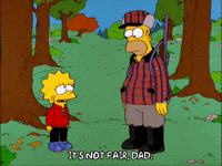 homer simpson episode 3 GIF