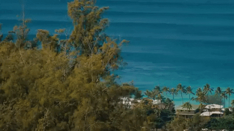 surfing hawaii GIF