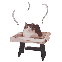 Pizza Cat Sticker by Bastian the Talking Terrier