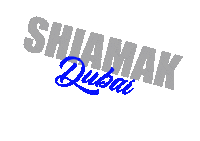 SHIAMAK dance bollywood hip hop contemporary Sticker