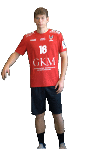 Rhein-Vikings giphyupload game goal handball Sticker