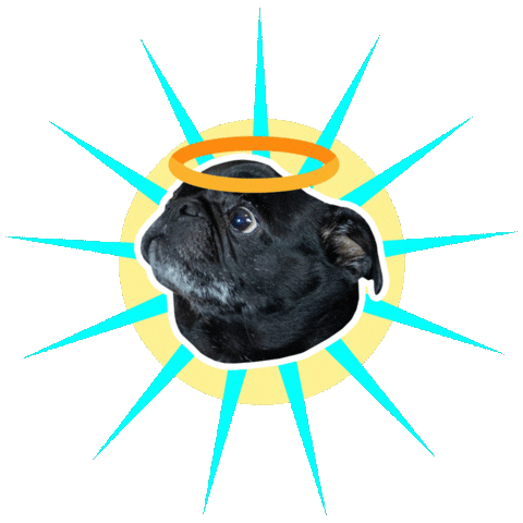 JasonKauz pug pepe pepethepug pugangel Sticker