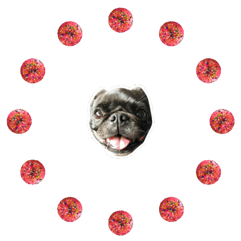 JasonKauz pug pepe donuts pepethepug Sticker