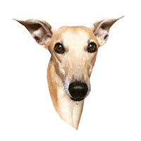 I Love You Hearts Sticker