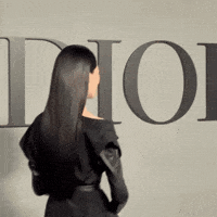 Christian Dior GIF