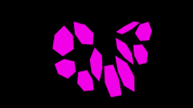 math fractals GIF by The Franklin Institute