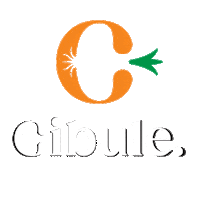 cibuleperfect food eat cibuleperfect cibule perfect Sticker